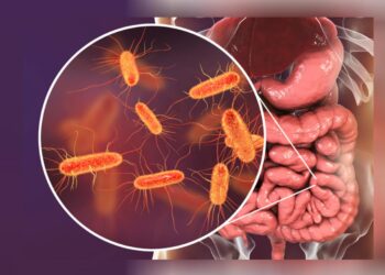 Bağırsak Mikrobiyotasının Bir Sırrı Daha Çözüldü