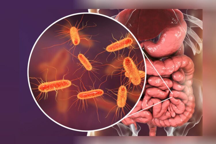 Bağırsak Mikrobiyotasının Bir Sırrı Daha Çözüldü