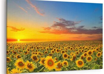 ’Ben’ler ‘En’ler