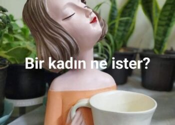 Bir Kadın Ne İster?