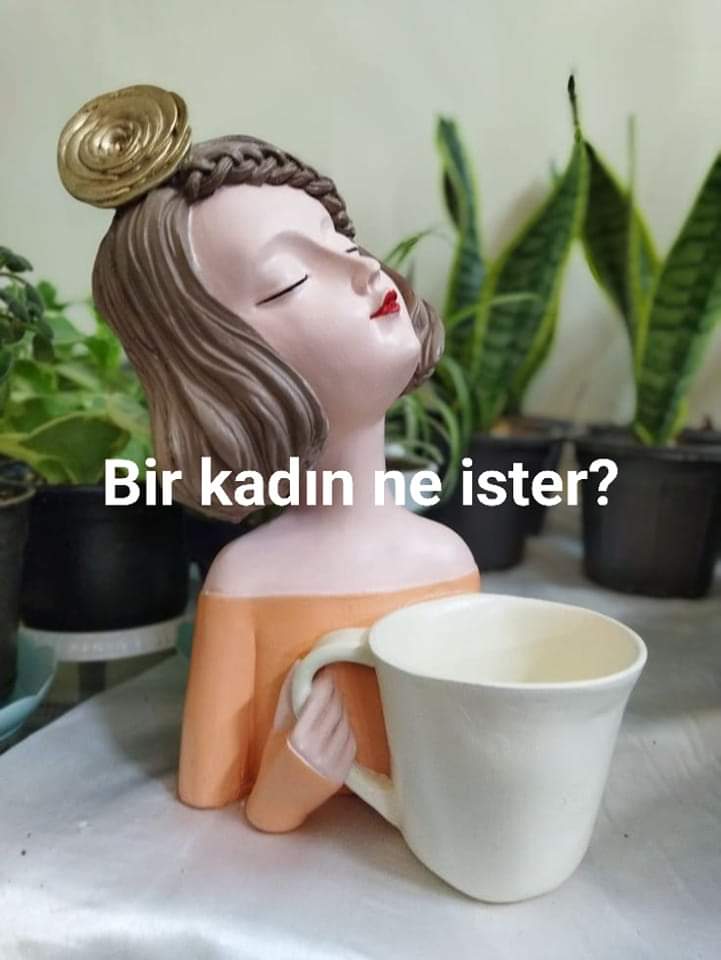 Bir Kadın Ne İster?