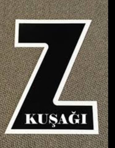 Suçlu Z Kuşağı Ayağa Kalk (I)