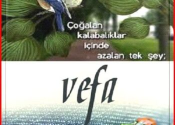 Vefa
