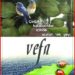 Vefa