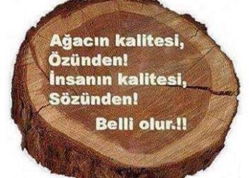 Sohbet Etmek, Konuşmak…