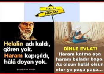 Alın Teri Helal Kazanç