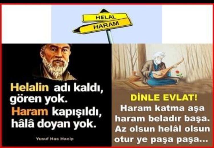 Alın Teri Helal Kazanç