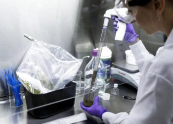 Dışkı Bankasına Yatırımınız Sağlığınızın Güvencesi Olacak