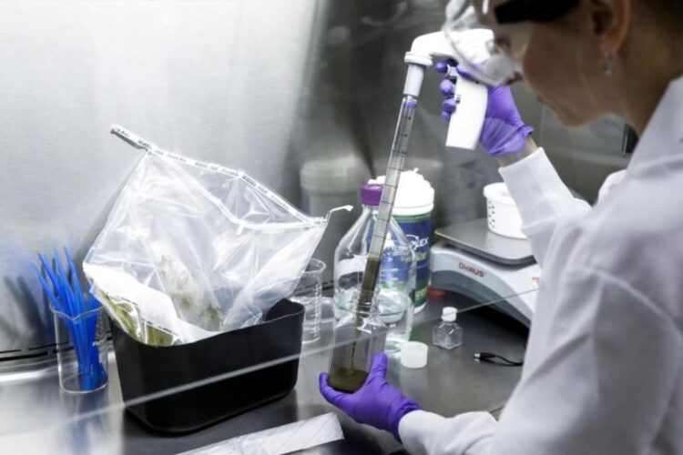 Dışkı Bankasına Yatırımınız Sağlığınızın Güvencesi Olacak