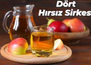 Dört Hırsız Sirkesi