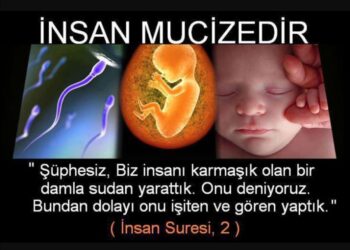 Üreme Safhasıyla İlgili İlk Ayetler