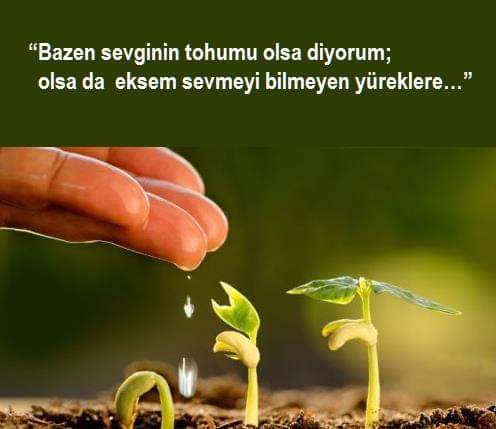 Sözde Değil Özde, İnkârsız Sevgi Saygı