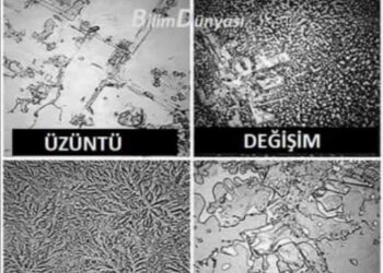 Farklıydı Bu Gözyaşları