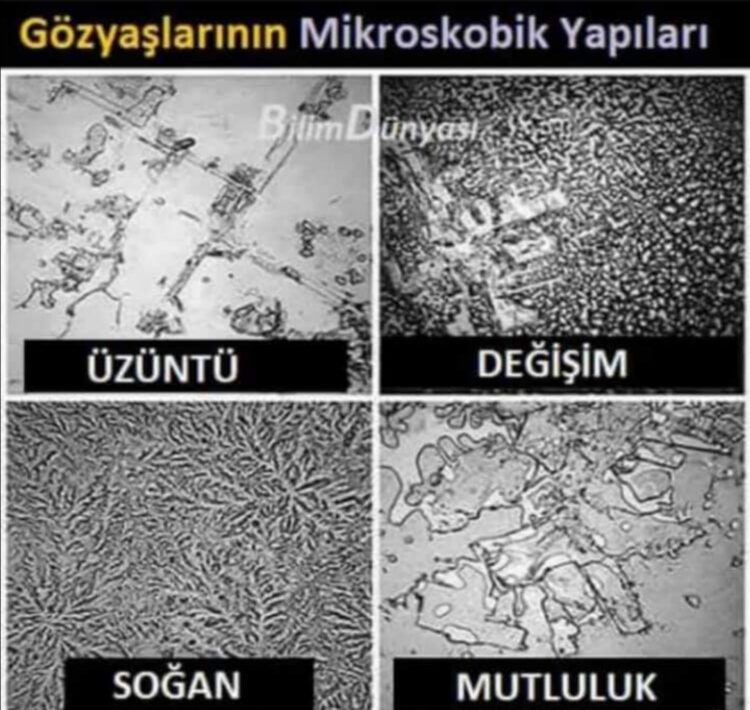 Farklıydı Bu Gözyaşları