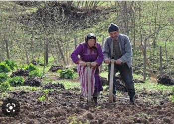 Kırsaldaki Çiftçi