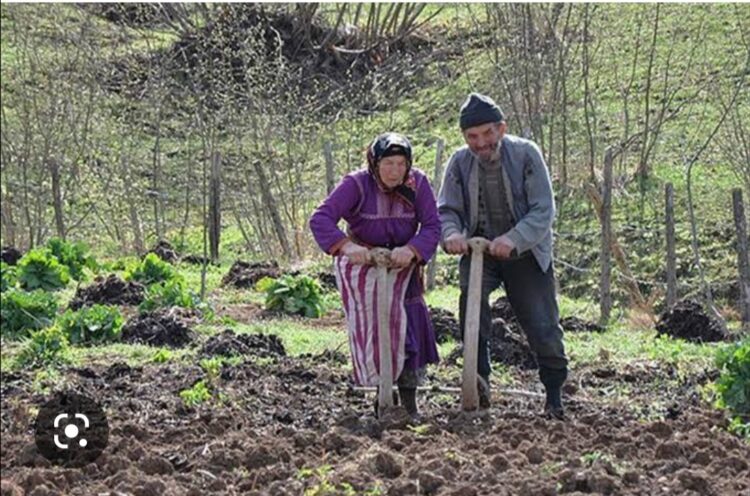 Kırsaldaki Çiftçi