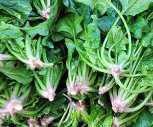 Kemik Kırılmalarını Önlemek İçin K1 Vitamini Şart