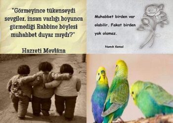 Su-Ateş-Toprak – Muhabbet