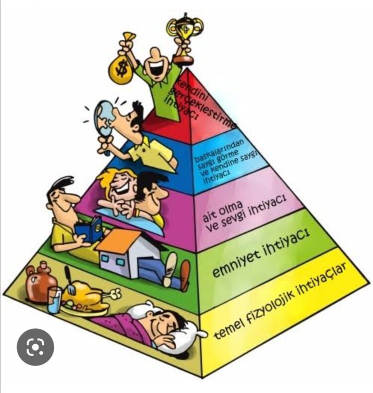 Toplumsal İhtiyaçlar