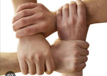 Örgütlü Olabilmek