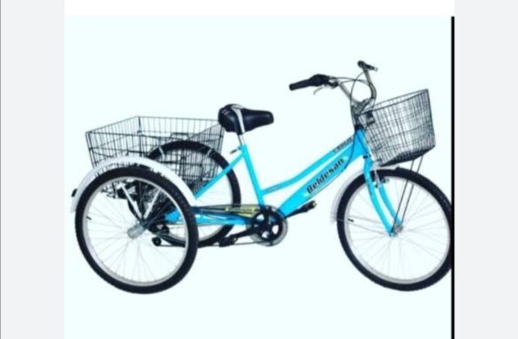 Üç Tekerlekli Bisiklet