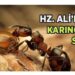 Hz. Ali İle Karıncanın İbretlik Hikayesi- Kıssalardan Hisse