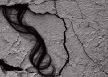 Acaba İtinalı Çalışıyorlar mı?