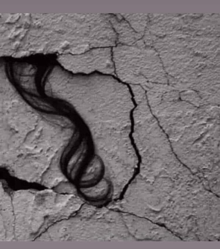 Acaba İtinalı Çalışıyorlar mı?