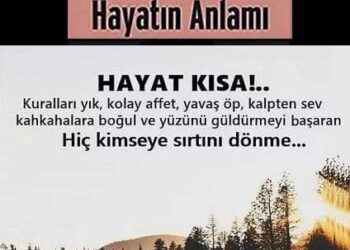 Hayatın Anlamı