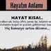 Hayatın Anlamı