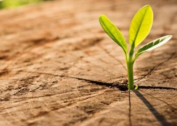 Hayatın Sınırları