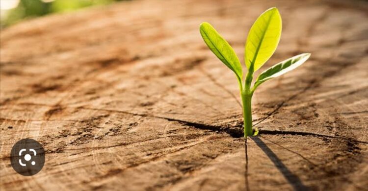 Hayatın Sınırları