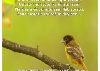 Unutursa Yüreğim…