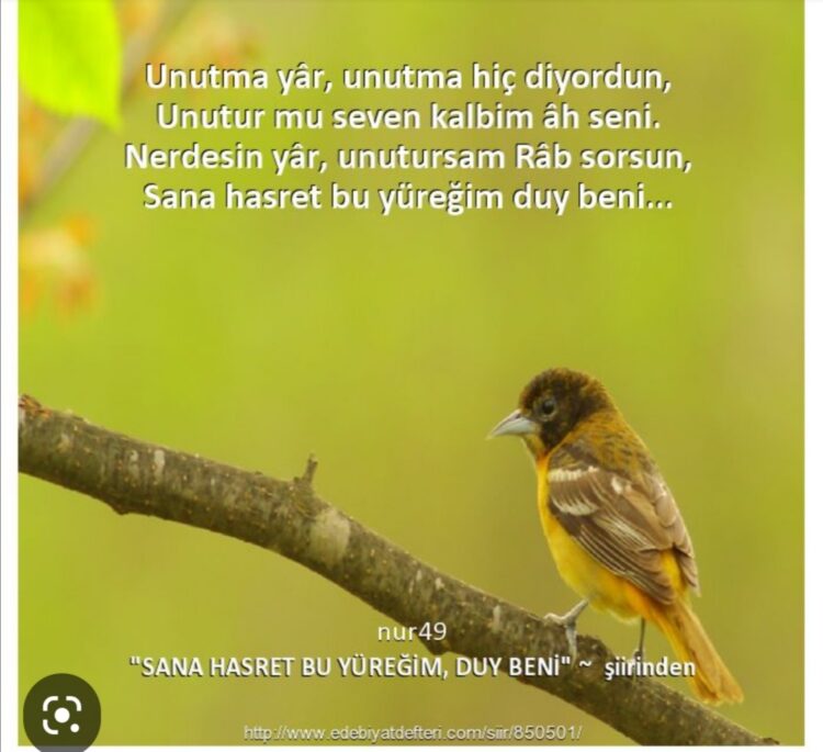 Unutursa Yüreğim…