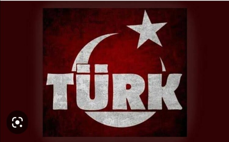 Türk