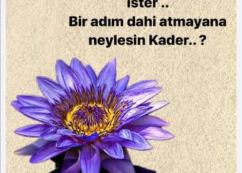 Kadere Rıza Şeytan Halidir…