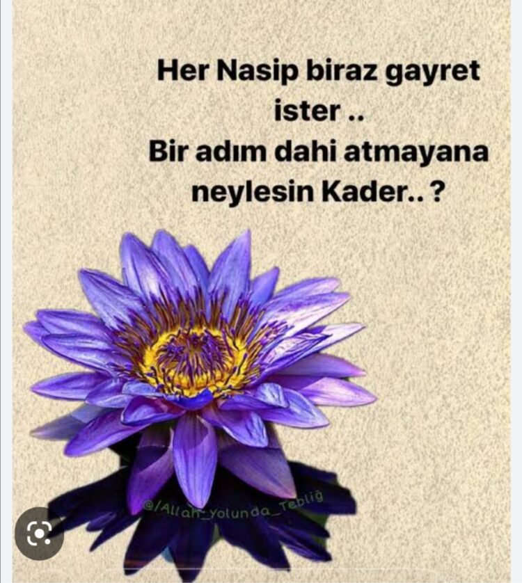 Kadere Rıza Şeytan Halidir…