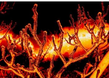 Toplumu Bu Kadar Germeyin Fitne Ateşinde Siz de Yanarsınız !