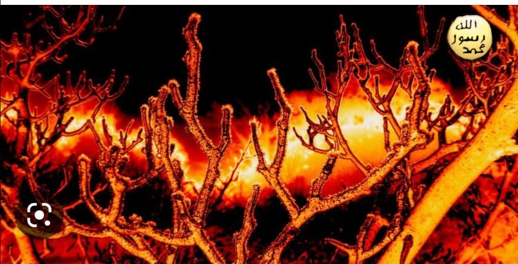 Toplumu Bu Kadar Germeyin Fitne Ateşinde Siz de Yanarsınız !