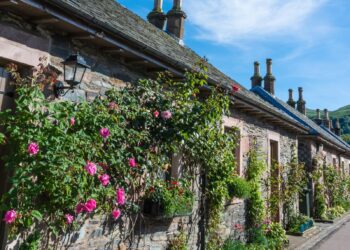 Sensiz Baharın Şevki Yok