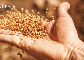 İlginç mi İlginç