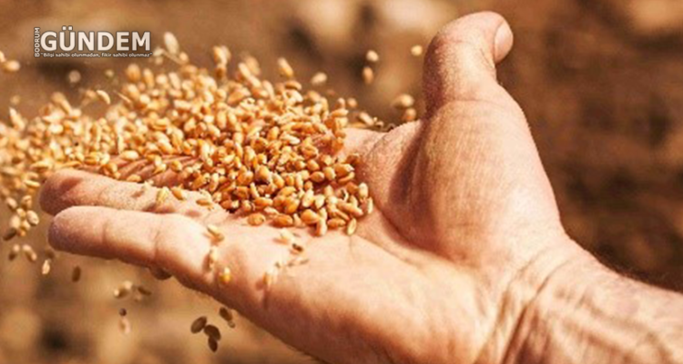 İlginç mi İlginç