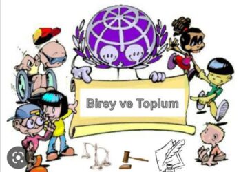 Birey Toplum İlişkileri