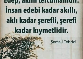 Edepsizle Edepsiz Ol…