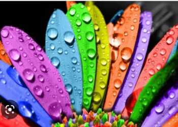 Renkli Bir Fotoğraf