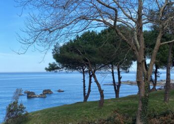 Bir Gezinin Serancamı