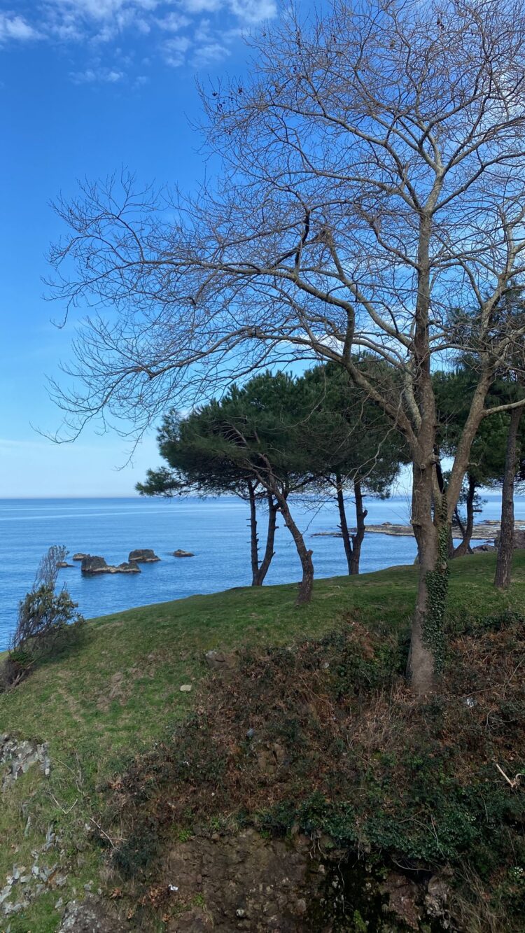 Bir Gezinin Serancamı