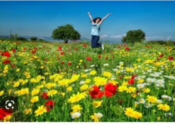 Zümrüt Zülüflü Mevsim