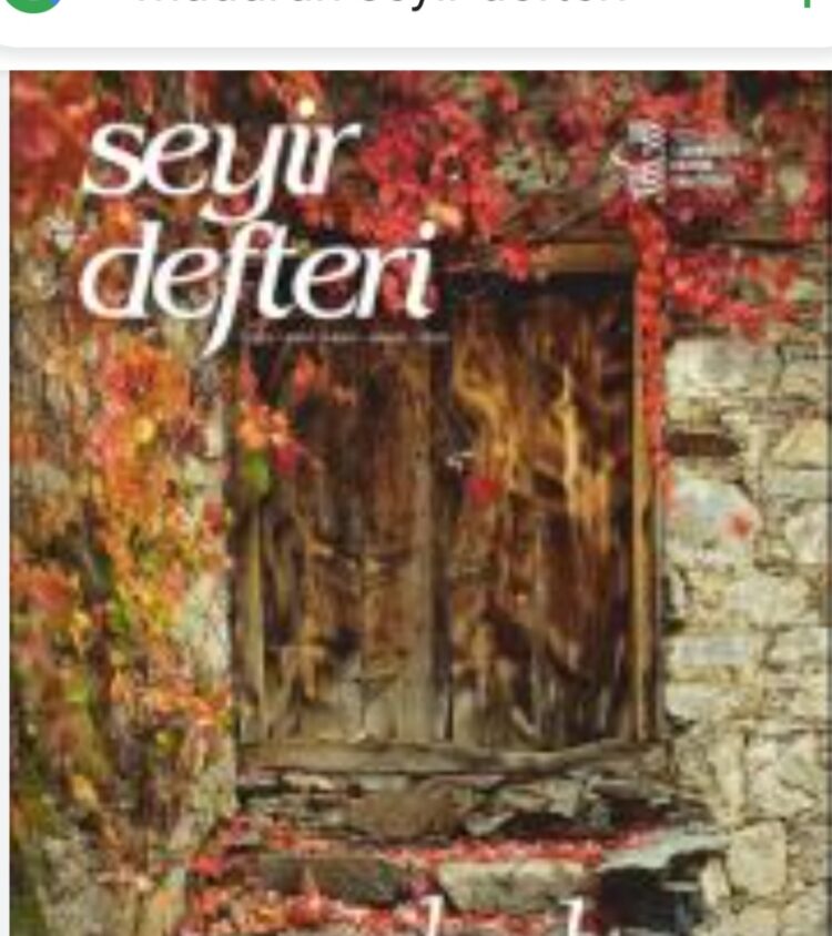 Müdürün Seyir Defteri