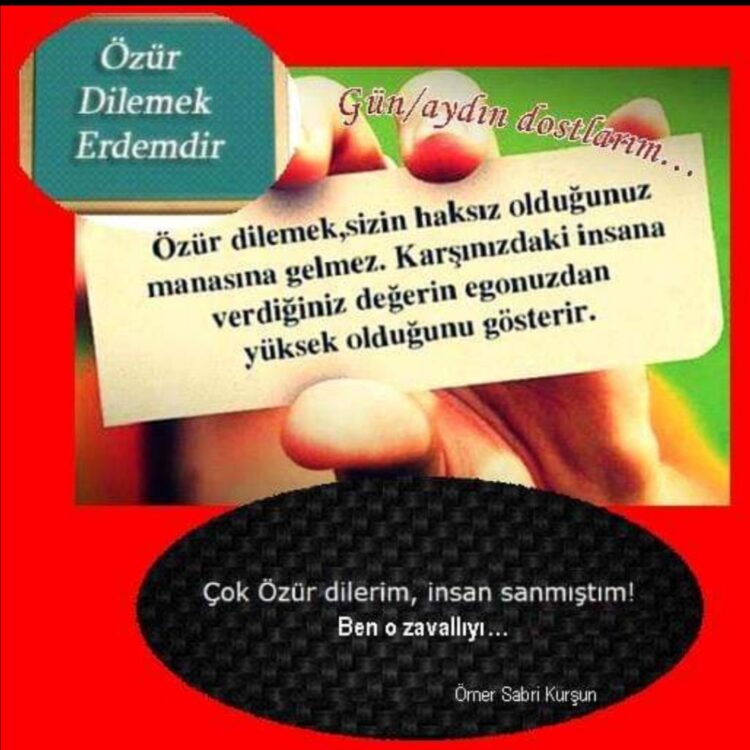 Özür Dilemek